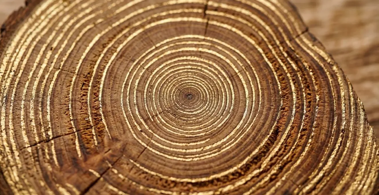 Macro perspective of compound growth and wealth accumulation over time