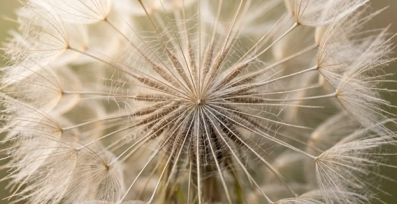Macro close-up showing intricate network patterns representing global market connectivity and diversified investment exposure